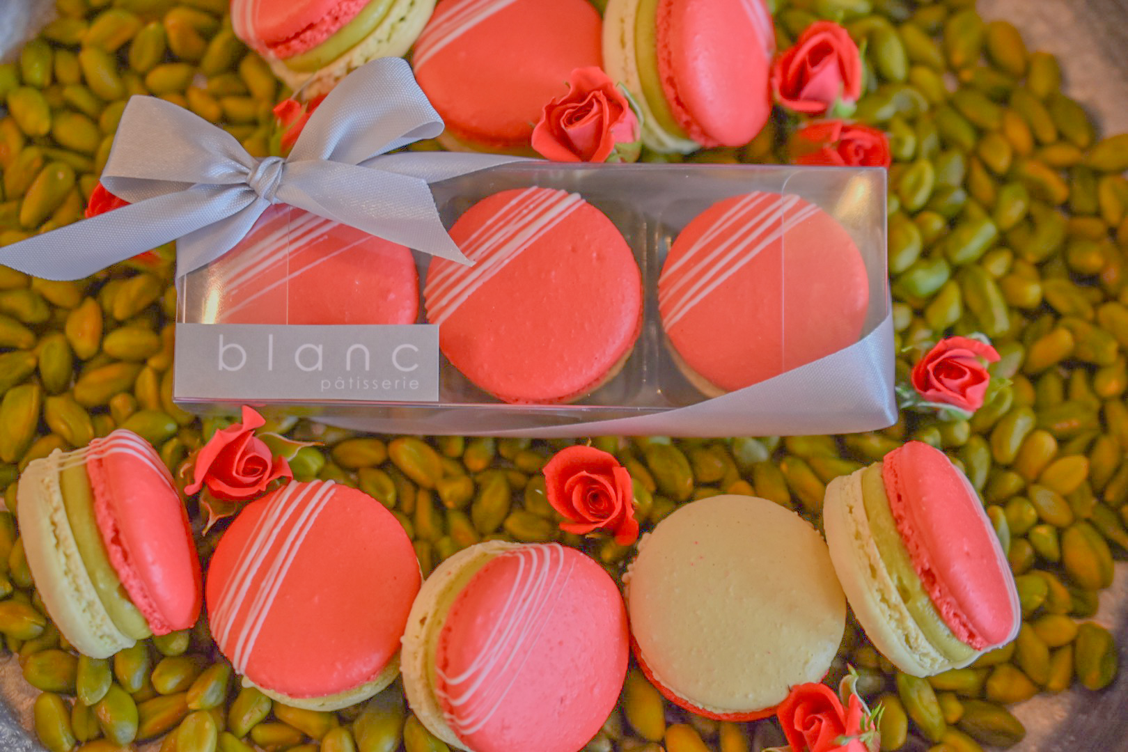 マカロン・ロゼピスターシュ(全国配送取専用)