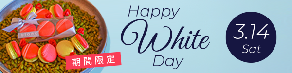 おすすめギフト